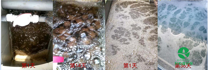 �й�������yl23455(�ɷ�)���޹�˾-�ٷ���վ